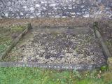 image of grave number 294529